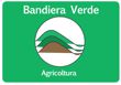 Bandiera verde CIA 2017